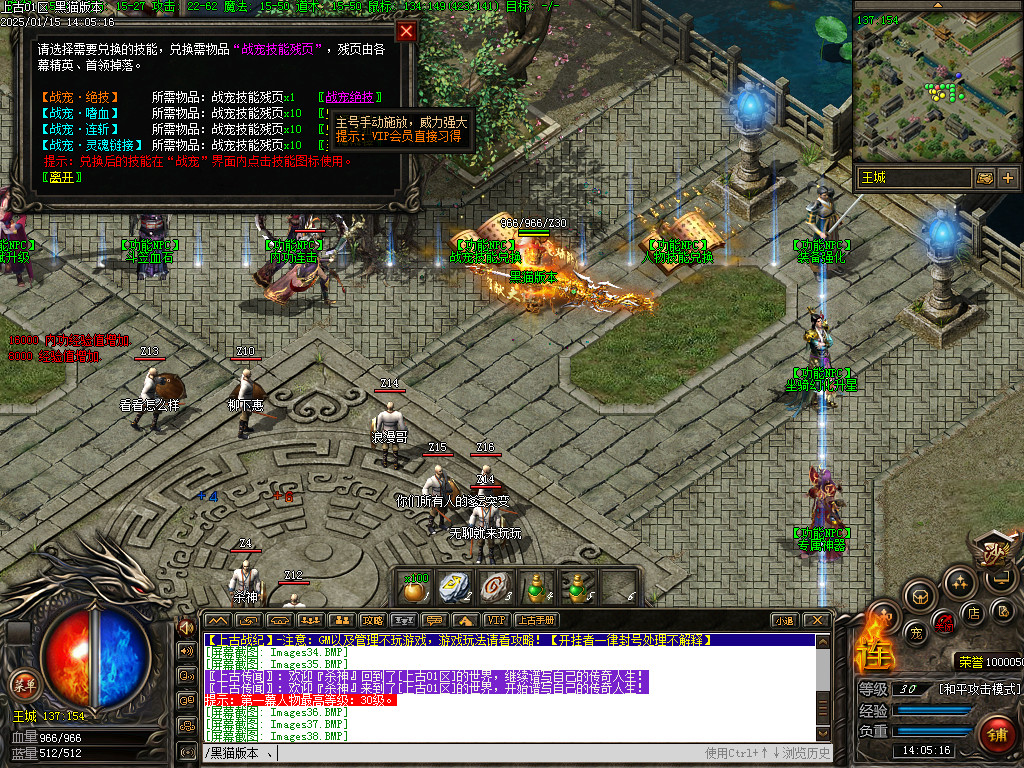 Images39.BMP