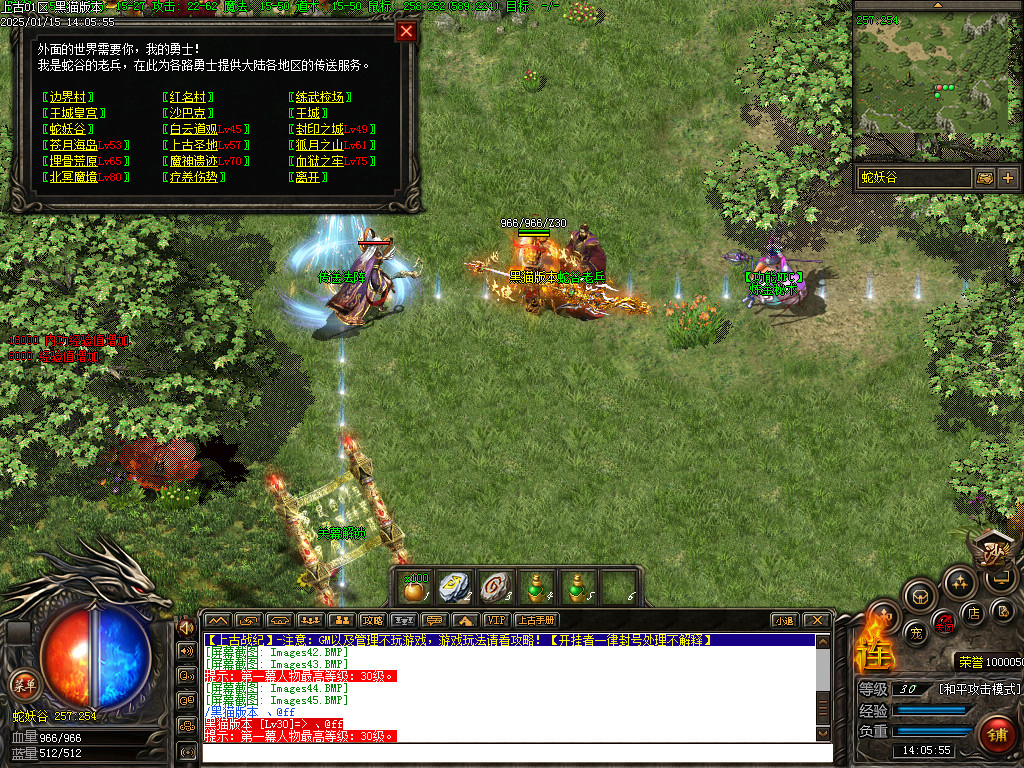 Images46.BMP