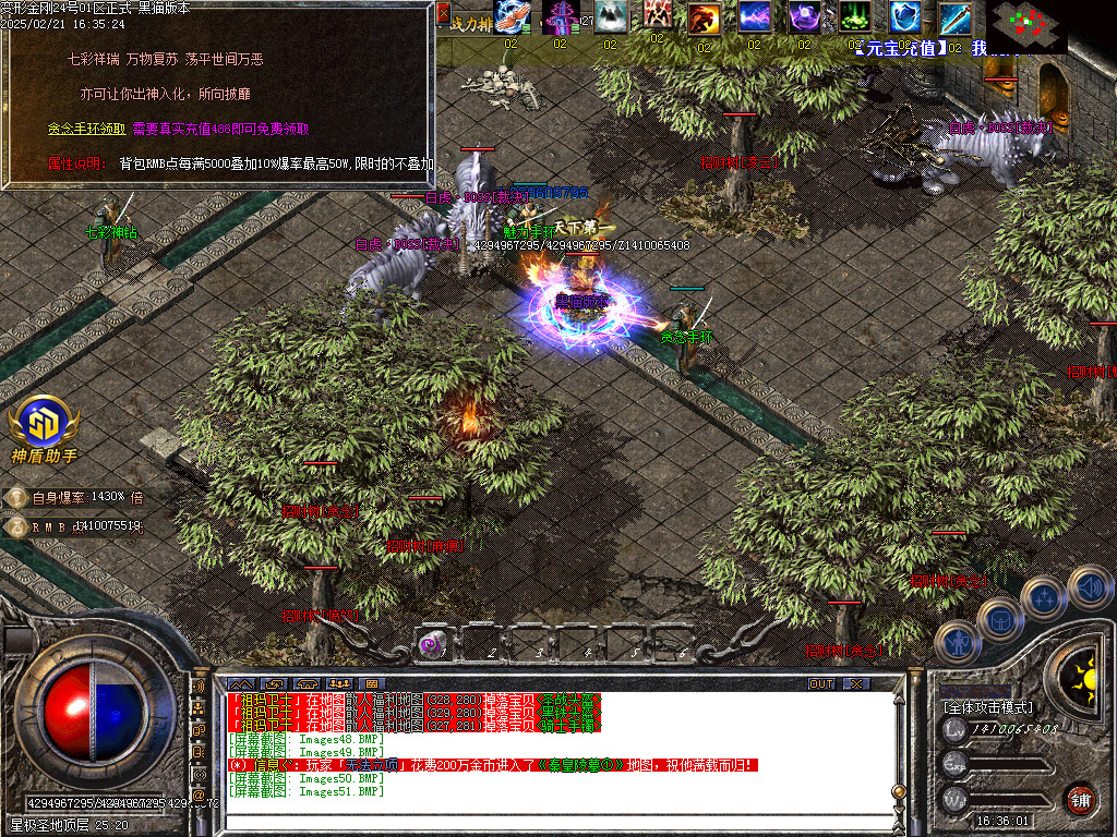 Images52.BMP