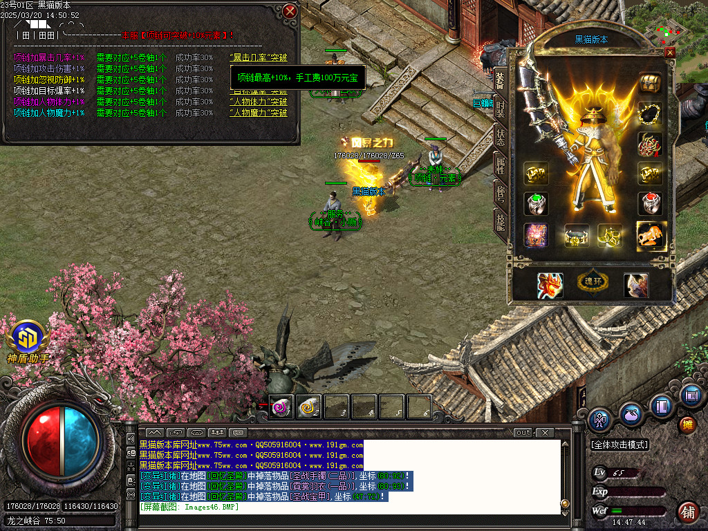Images47.BMP