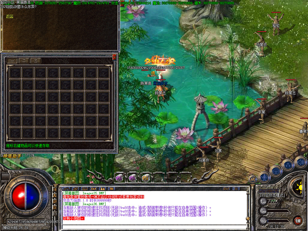 Images37.BMP
