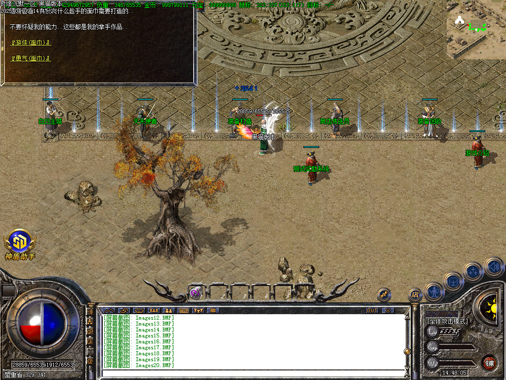 Images25.BMP