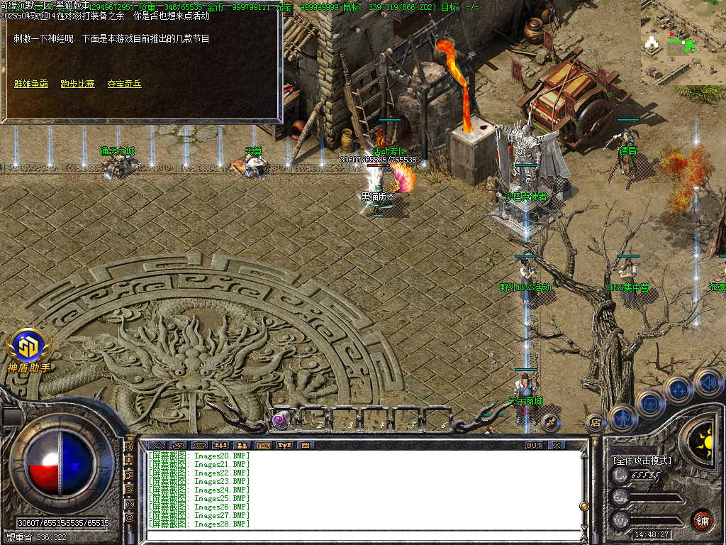 Images33.BMP