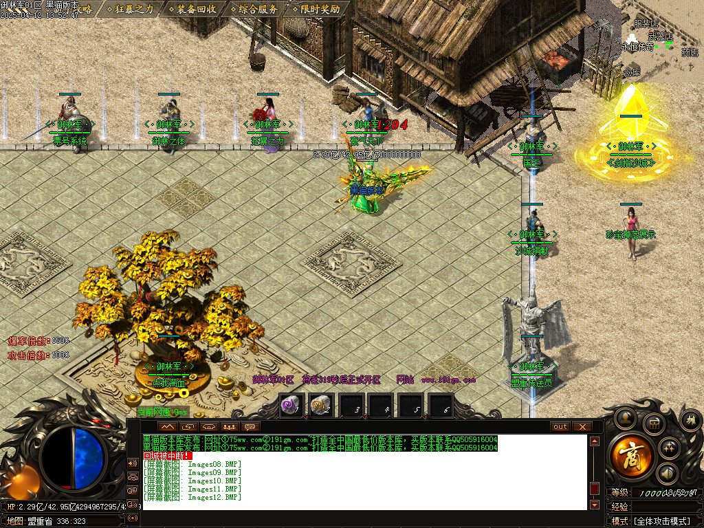 Images13.BMP