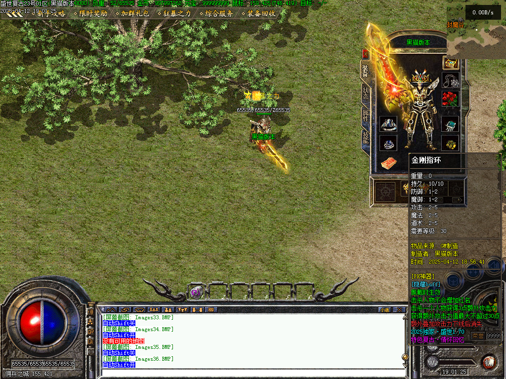 Images37.BMP