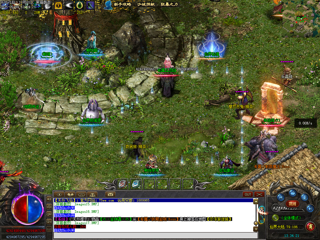 Images18.BMP
