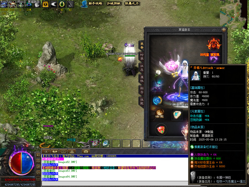 Images65.BMP