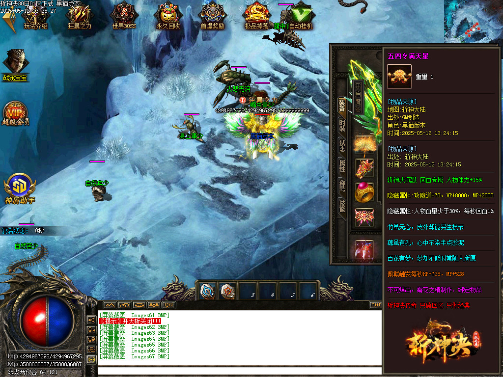 Images68.BMP