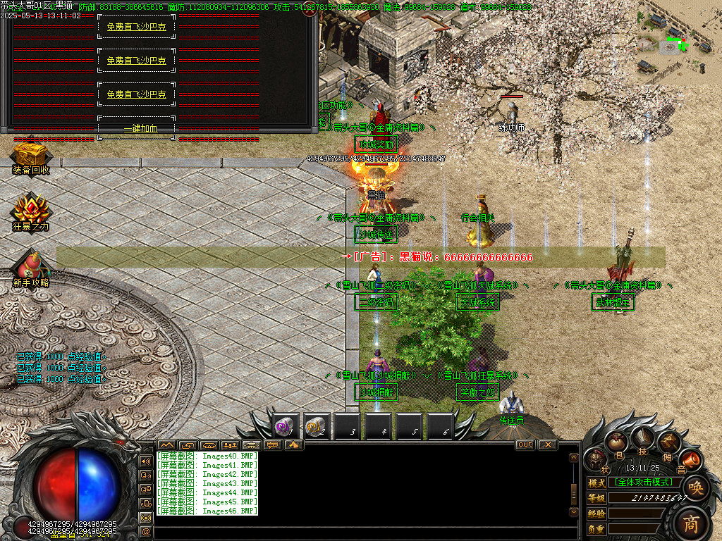 Images47.BMP