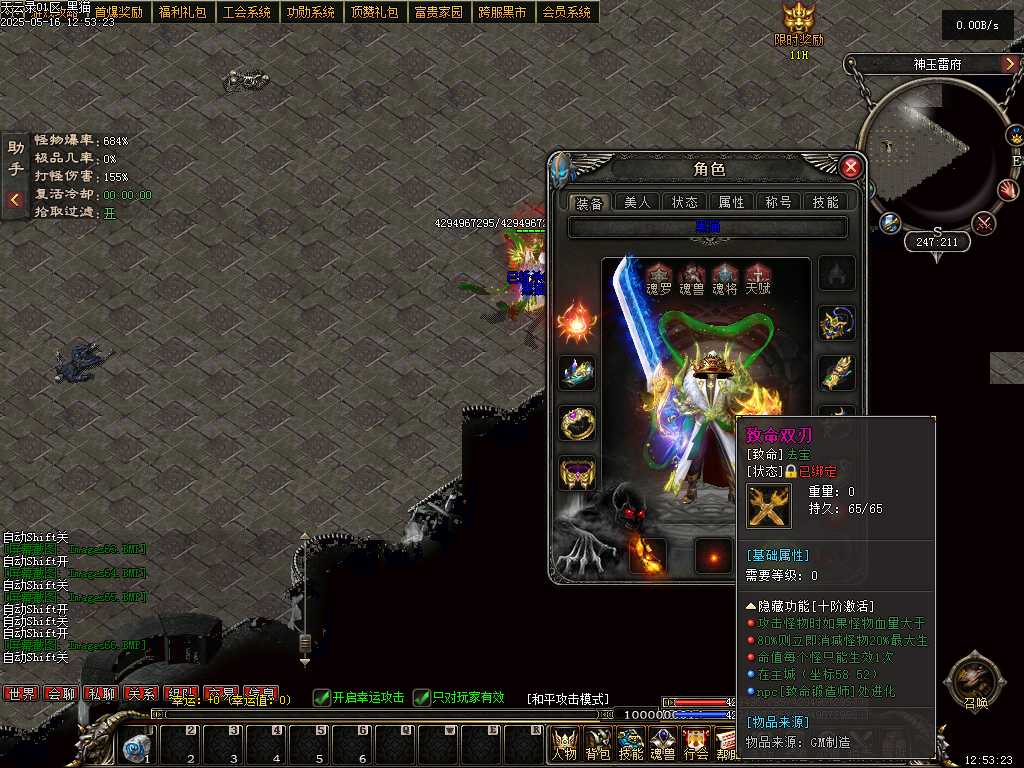 Images67.BMP
