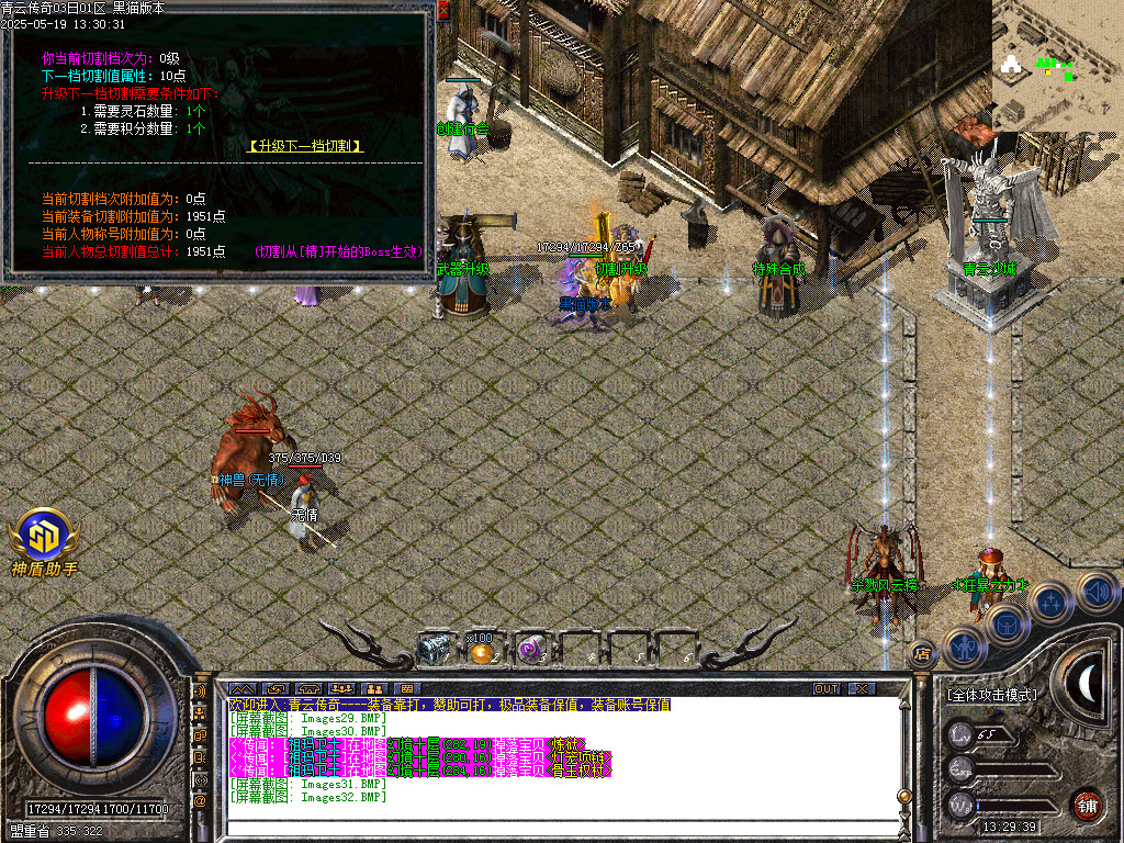 Images33.BMP