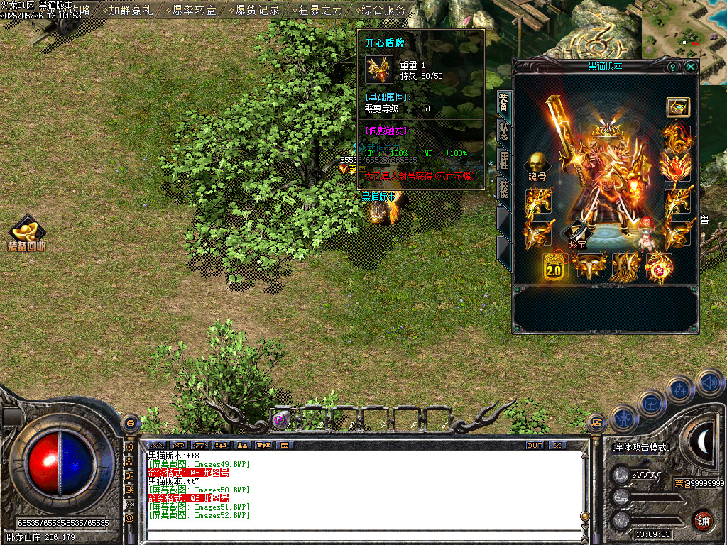 Images53.BMP