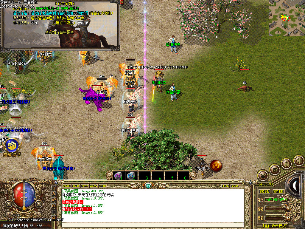 Images13.BMP