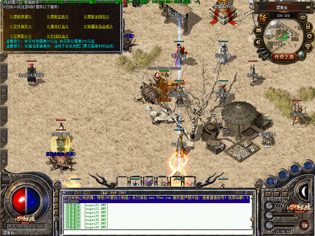 Images39.BMP