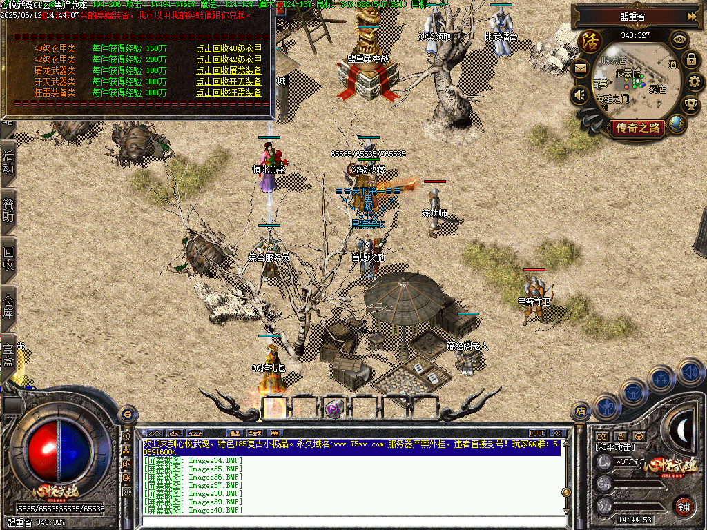 Images41.BMP