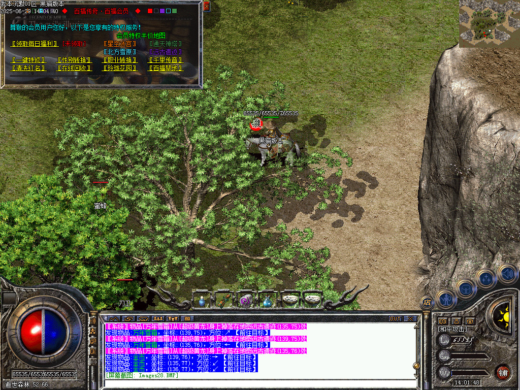 Images29.BMP