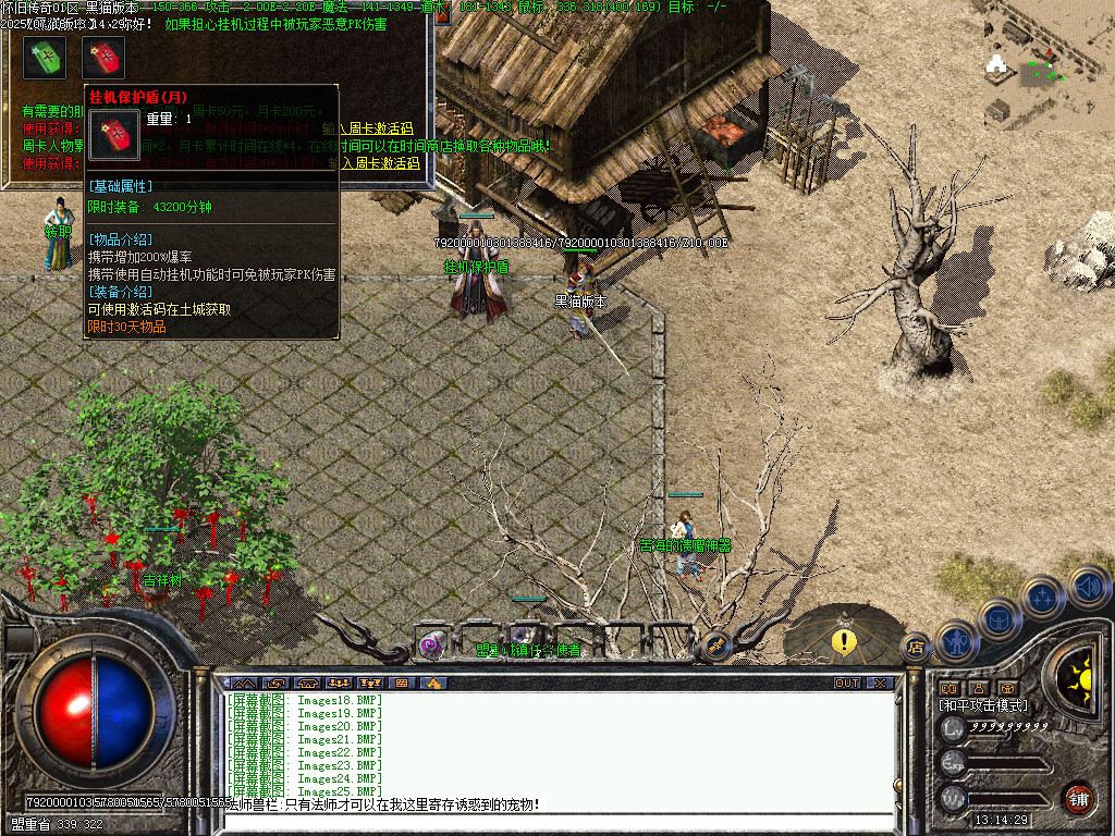 Images27.BMP