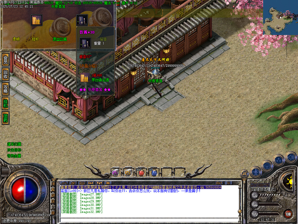 Images33.BMP