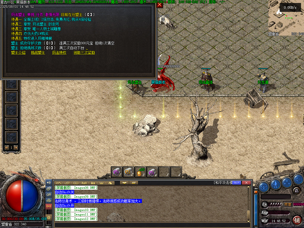 Images13.BMP