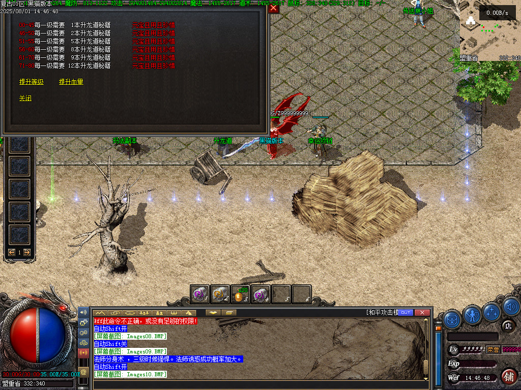Images11.BMP