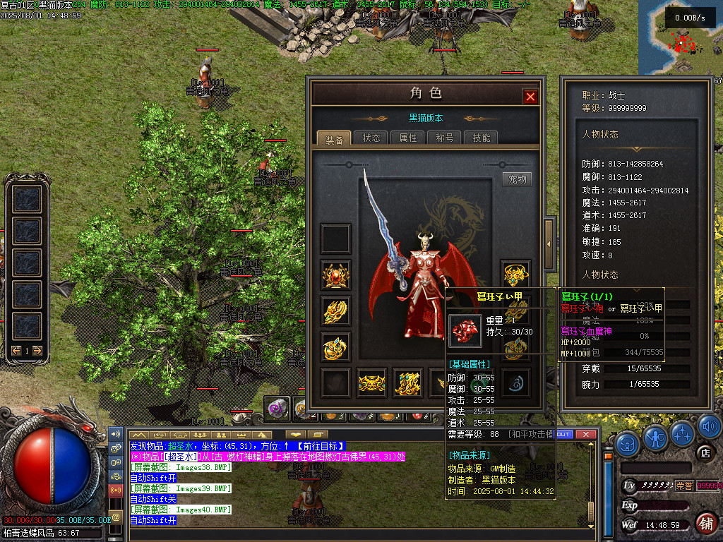 Images41.BMP