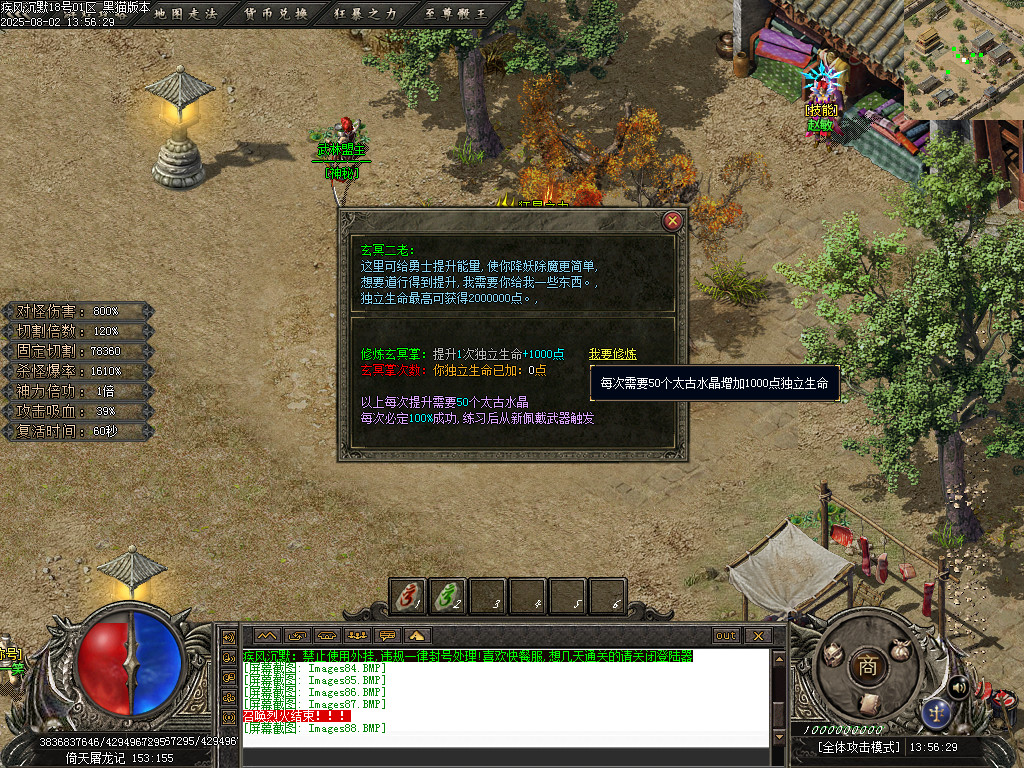 Images89.BMP