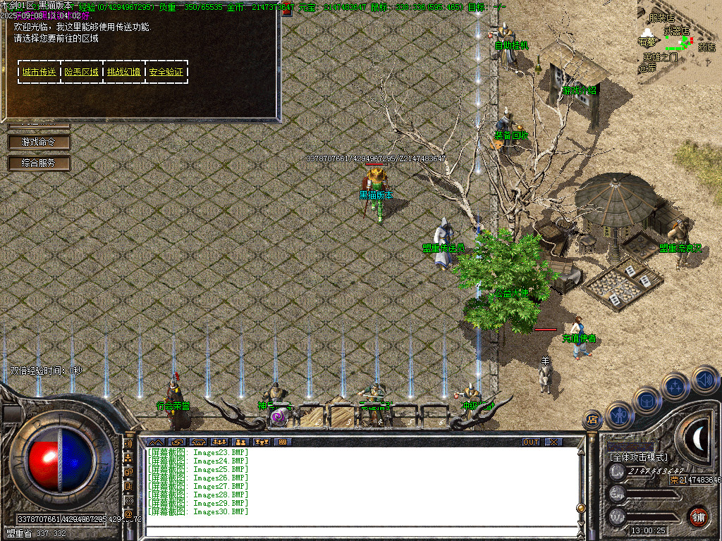 Images31.BMP