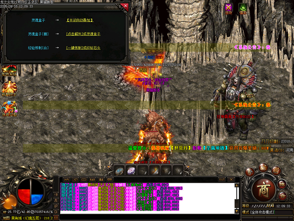 Images63.BMP