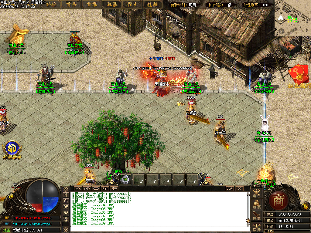 Images11.BMP