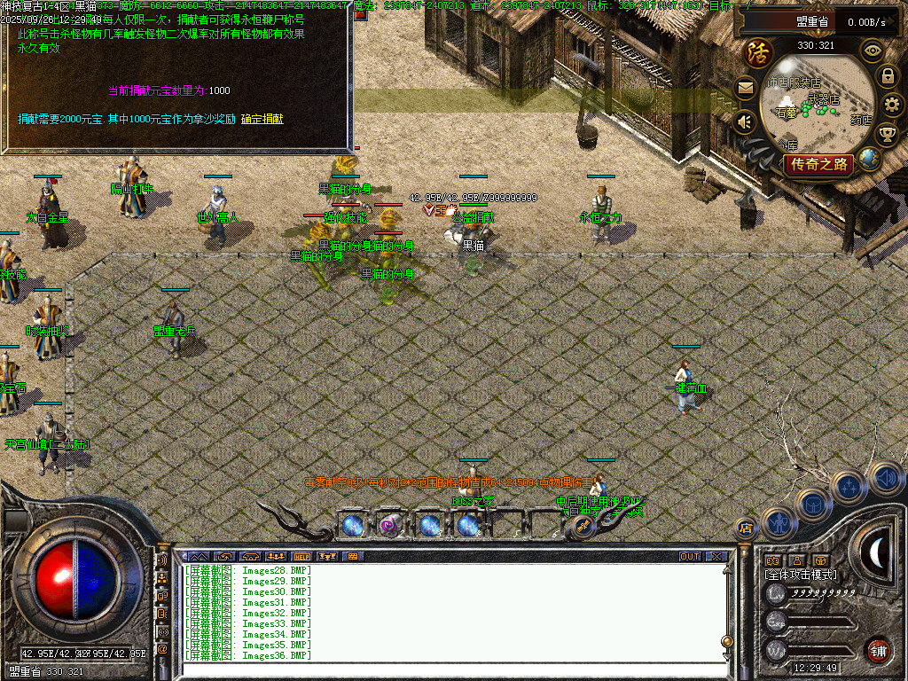 Images38.BMP