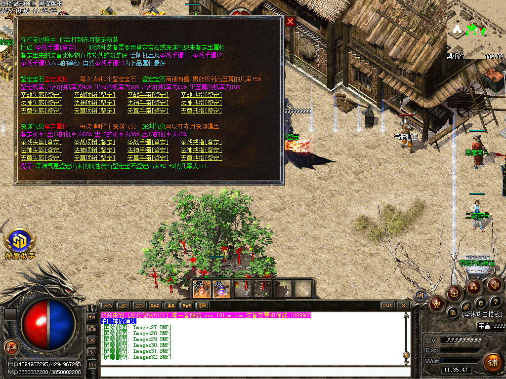Images33.BMP