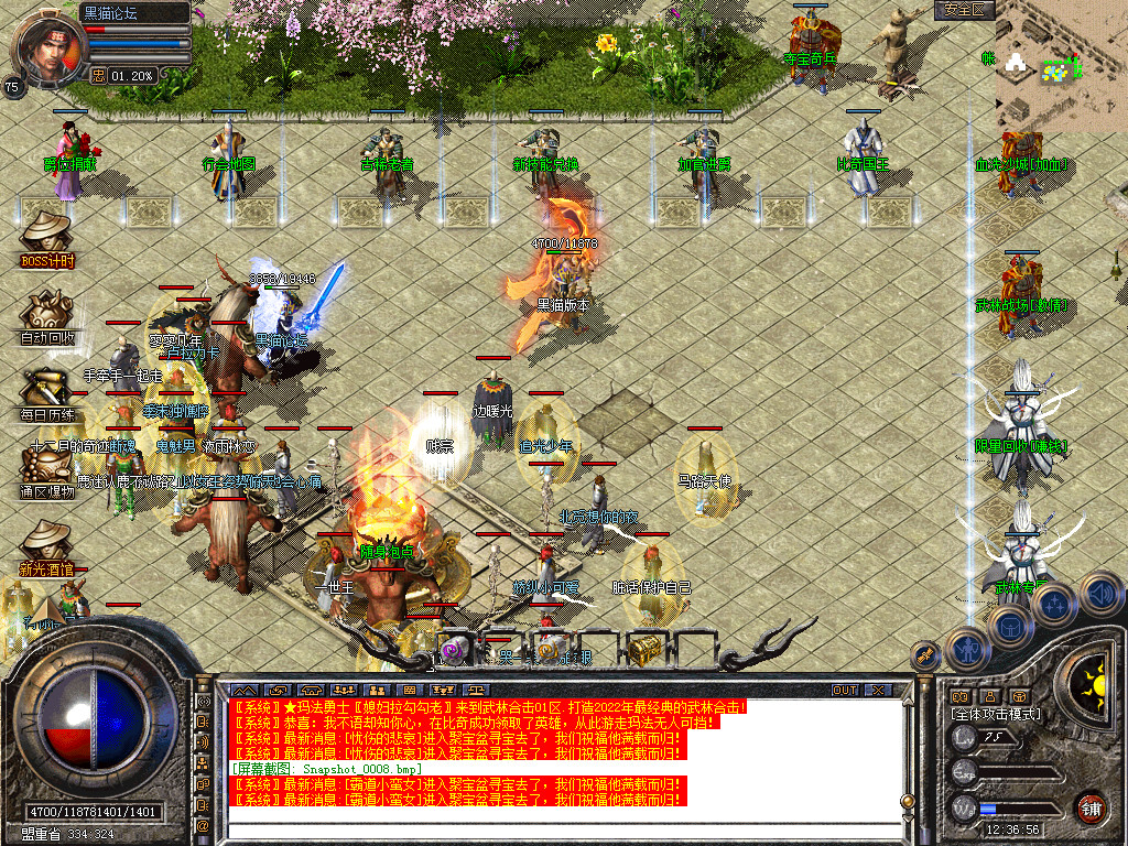 Snapshot_0009.bmp